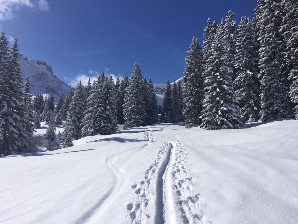 Der Tannenhof Hotel Reutte Kültér fotó